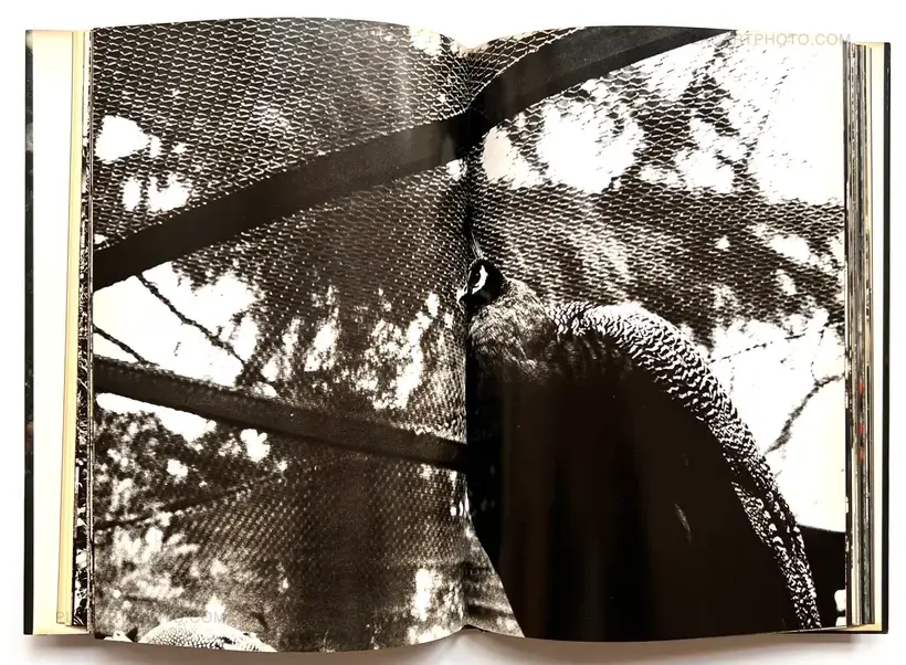 Takuma Nakahira – Aratanaru gyoushi / New Gaze