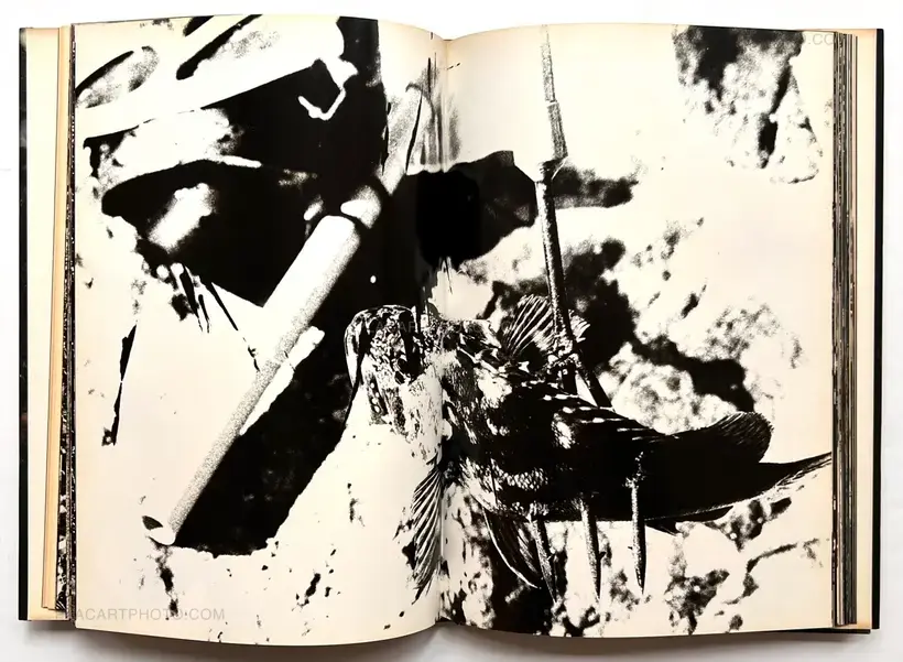 Takuma Nakahira – Aratanaru gyoushi / New Gaze