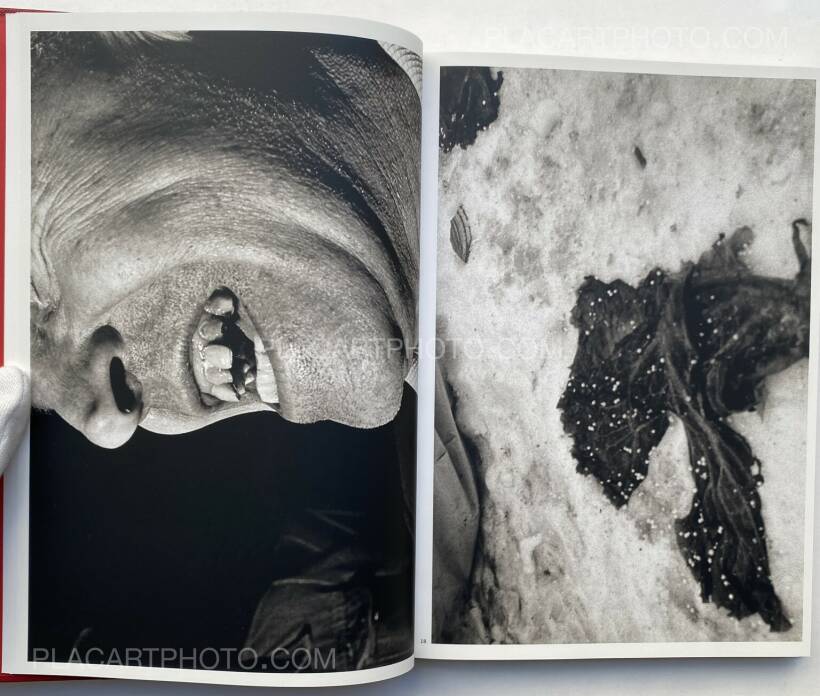 Mark Cohen: DARK KNEES , LE BAL / Editions Xavier Barral