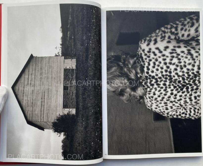 Mark Cohen: DARK KNEES , LE BAL / Editions Xavier Barral , 2013