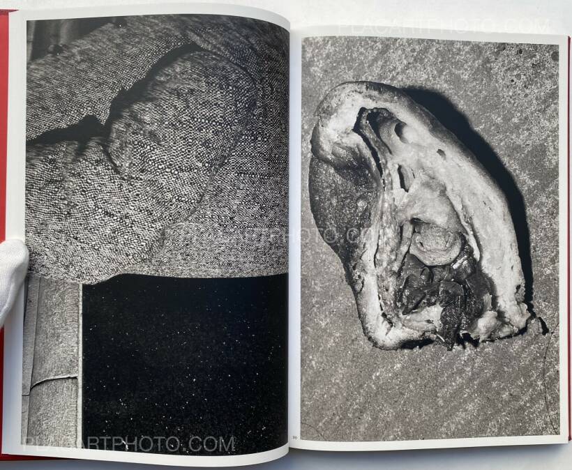 Mark Cohen: DARK KNEES , LE BAL / Editions Xavier Barral , 2013 Mark Cohen: DARK KNEES , LE BAL / Editions Xavier Barral , 2013