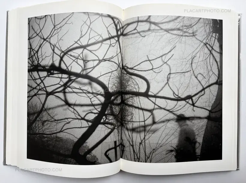 Sergio Larrain – SERGIO LARRAIN