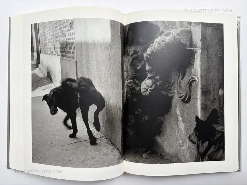 Sergio Larrain – SERGIO LARRAIN