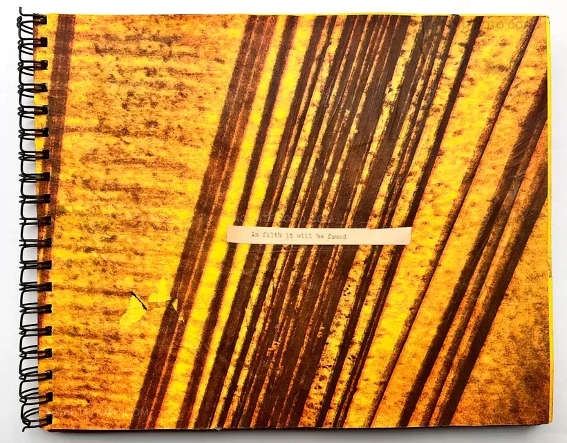 Robin Maddock – In filth it will be found (UNIQUE COPY)