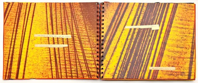 Robin Maddock – In filth it will be found (UNIQUE COPY)