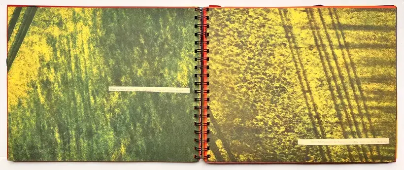 Robin Maddock – In filth it will be found (UNIQUE COPY)