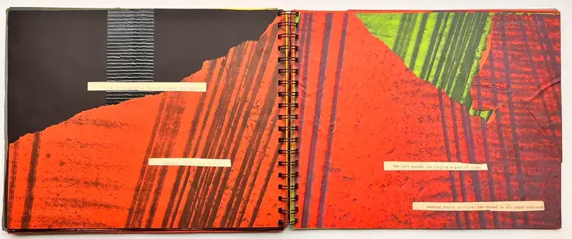 Robin Maddock – In filth it will be found (UNIQUE COPY)