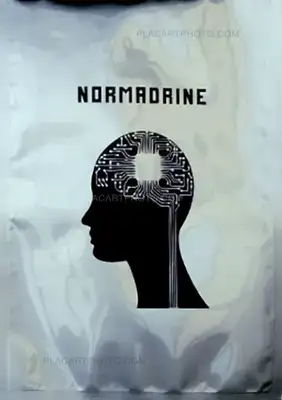 Véronique Bourgoin – NORMADRINE (Limited Edition /50)