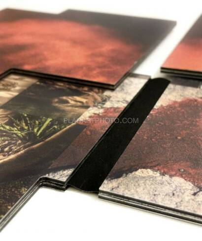 Gareth Phillips,Caligo. A photo sculpture book (EDT OF 20)