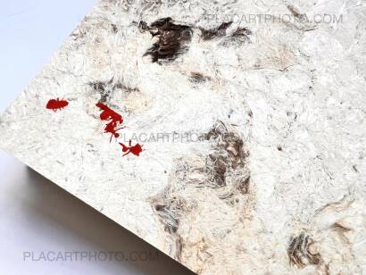 Zaida Kersten,Chicatanas (EDT OF 21)