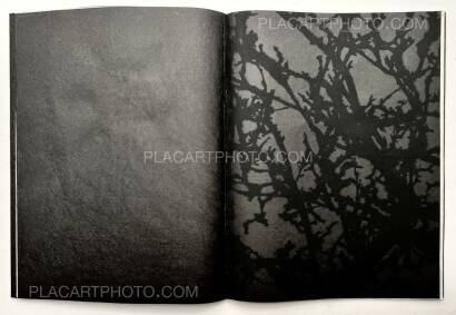 Kathleen Alisch,Conversations with trees (EDT OF 6)