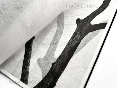 Kathleen Alisch,Conversations with trees (EDT OF 6)