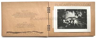 Shashinkan Gelatin,Fragments Rassembles (EDT OF 10)