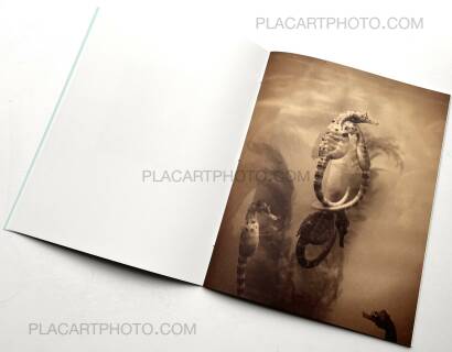 Regina Anzenberger,The Australian Journey (EDT OF 300)