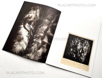 Regina Anzenberger,The Australian Journey (EDT OF 300)