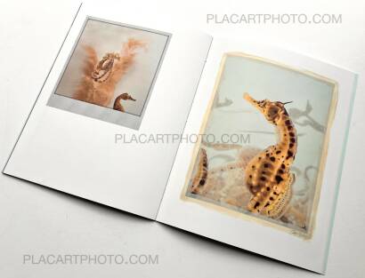 Regina Anzenberger,The Australian Journey (EDT OF 300)