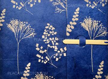 Veronica Mecchia,Great flowers (EDT of 50)