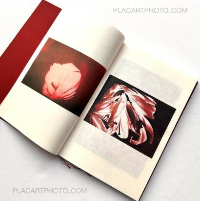 Tissa D. / Satié BURGIO - SASADA,Sanguine (EDT OF 30)