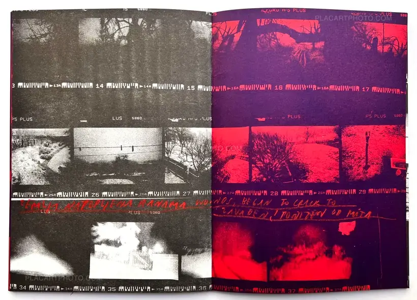 Sergej Vutuc – ZEMLAJA KOJA PUCA POD NAMA, A STABLO / THE EARTH CRUMBLING BELOW, (and) THE TREE (EDT OF 17)
