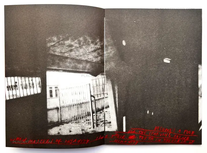 Sergej Vutuc – ZEMLAJA KOJA PUCA POD NAMA, A STABLO / THE EARTH CRUMBLING BELOW, (and) THE TREE (EDT OF 17)
