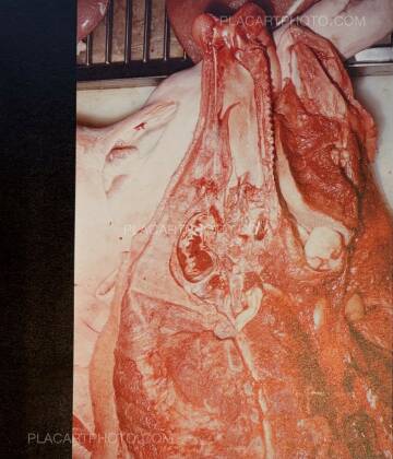 Chan Wai Kwong,THE SHIRT IS INSIDE OUT (SIGNED)