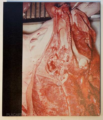 Chan Wai Kwong,THE SHIRT IS INSIDE OUT (SIGNED)