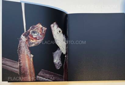 Chan Wai Kwong,THE SHIRT IS INSIDE OUT (SIGNED)