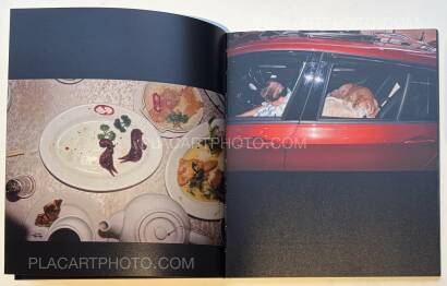 Chan Wai Kwong,THE SHIRT IS INSIDE OUT (SIGNED)