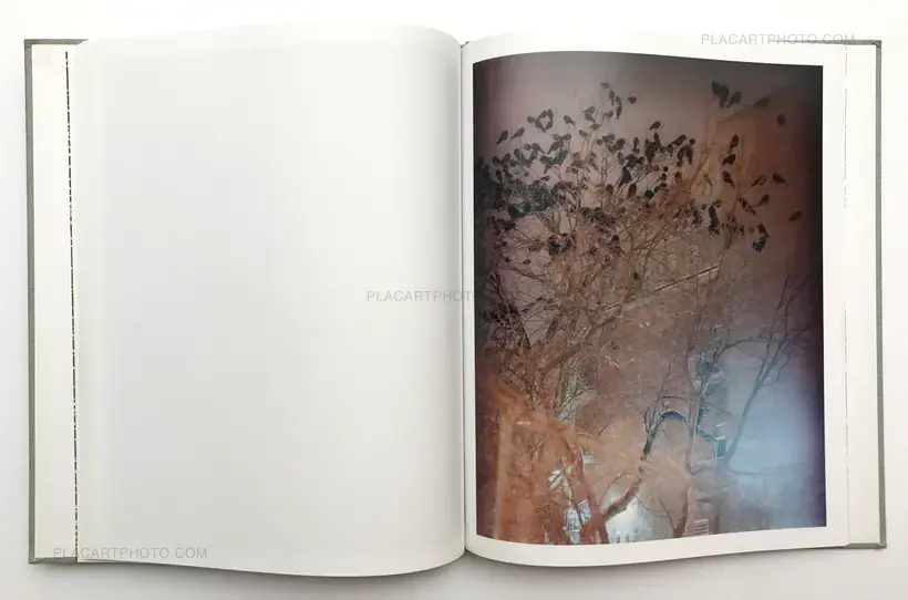 Gregory Halpern – A (SEALED COPY)