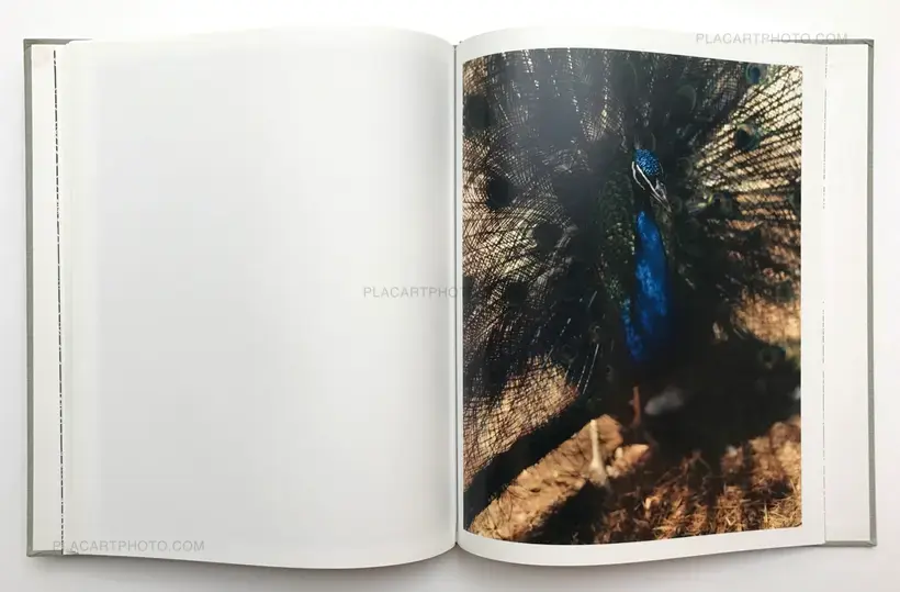 Gregory Halpern – A (SEALED COPY)