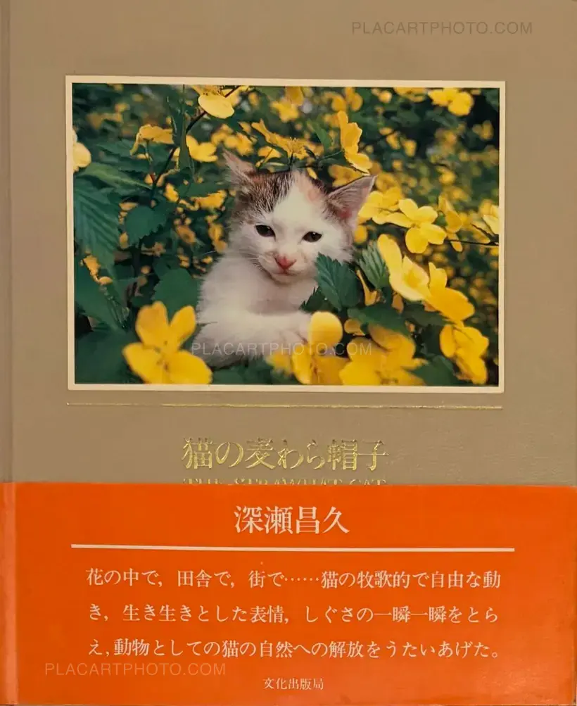 Masahisa Fukase – Neko no mugiwara boshi / The Strawhat Cat (Signed)