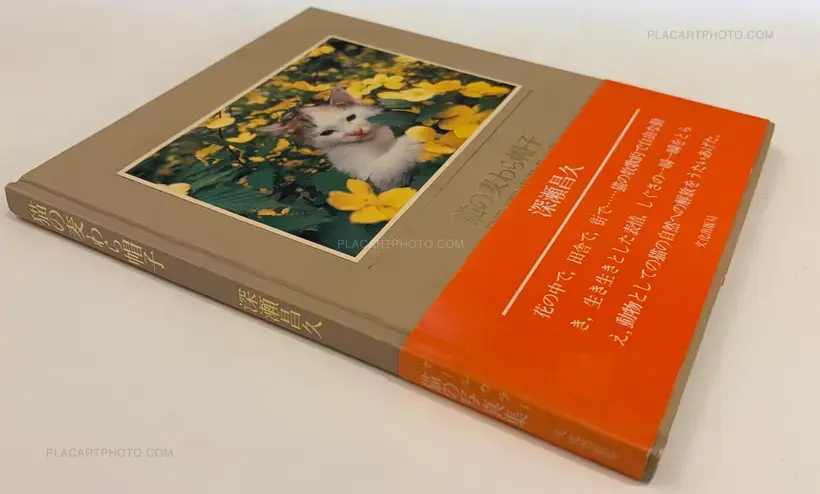 Masahisa Fukase – Neko no mugiwara boshi / The Strawhat Cat (Signed)