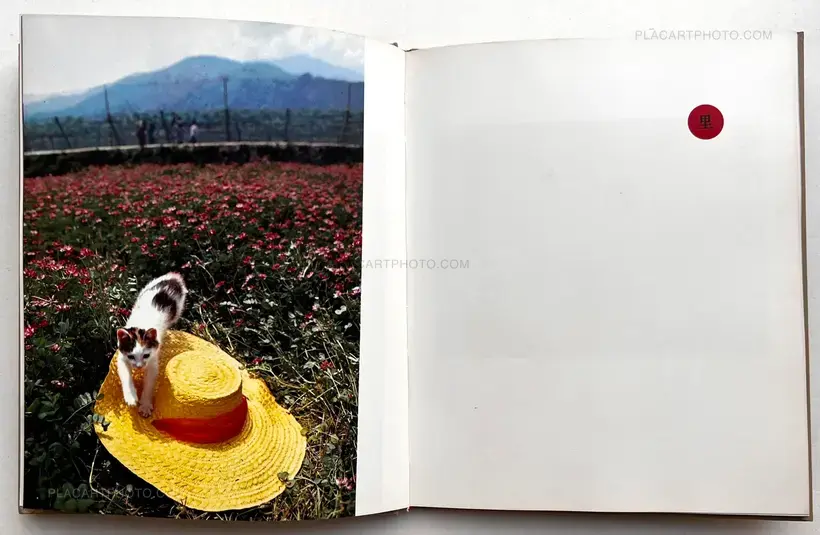 Masahisa Fukase – Neko no mugiwara boshi / The Strawhat Cat (Signed)
