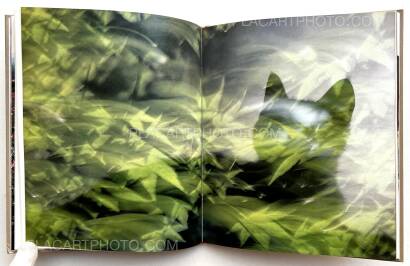 Masahisa Fukase,Neko no mugiwara boshi / The Strawhat Cat (Signed)