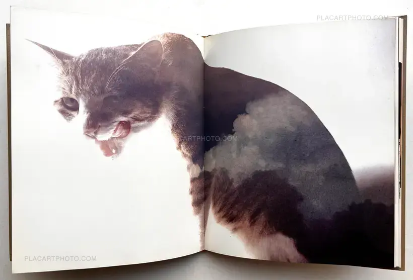 Masahisa Fukase – Neko no mugiwara boshi / The Strawhat Cat (Signed)