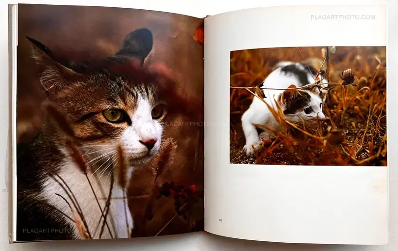 Masahisa Fukase – Neko no mugiwara boshi / The Strawhat Cat (Signed)
