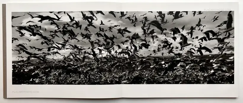 Josef Koudelka – Reconaissance-Wales