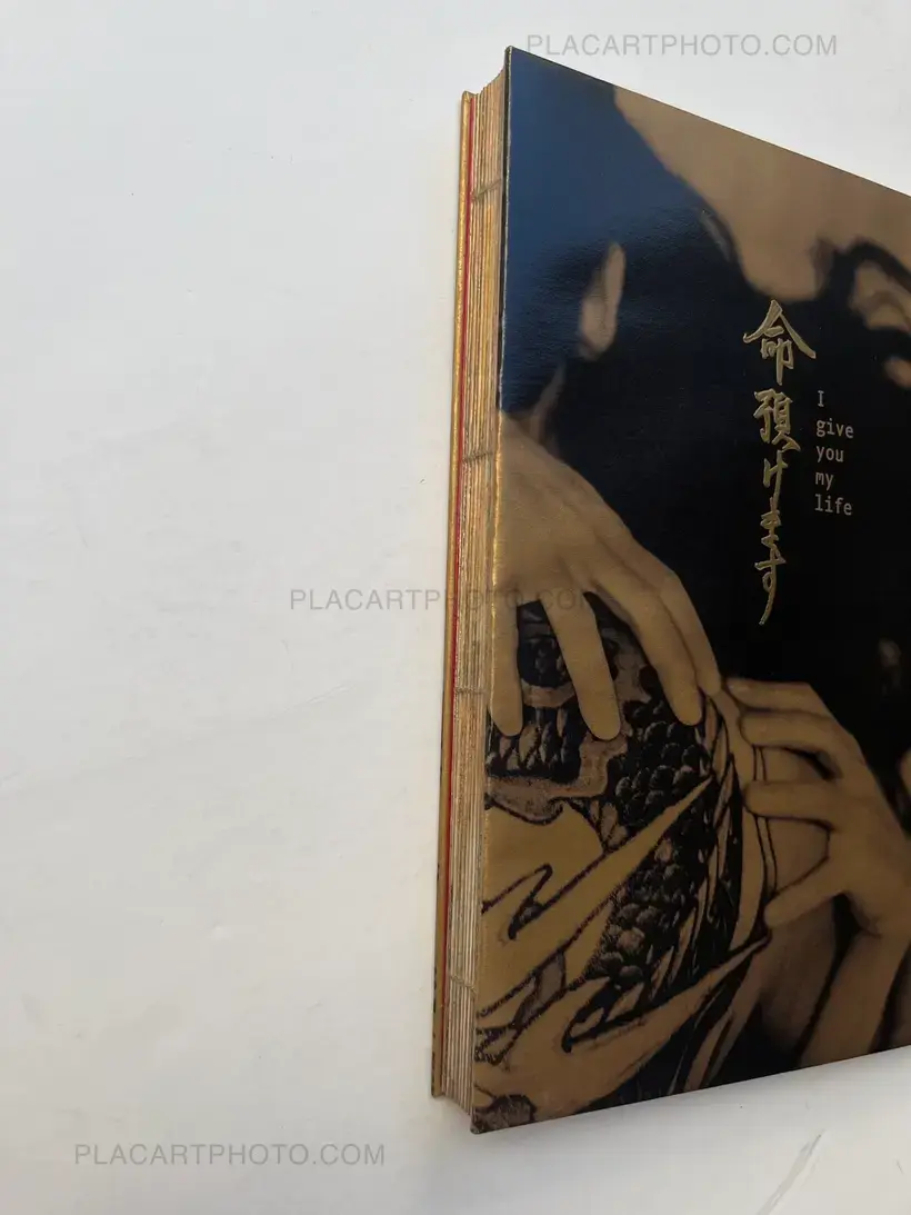 Chloé Jafé – Trilogy : Lot of 3 books (Handmade edt with prints)