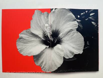 Chloé Jafé,Trilogy : Lot of 3 books (Handmade edt with prints) 