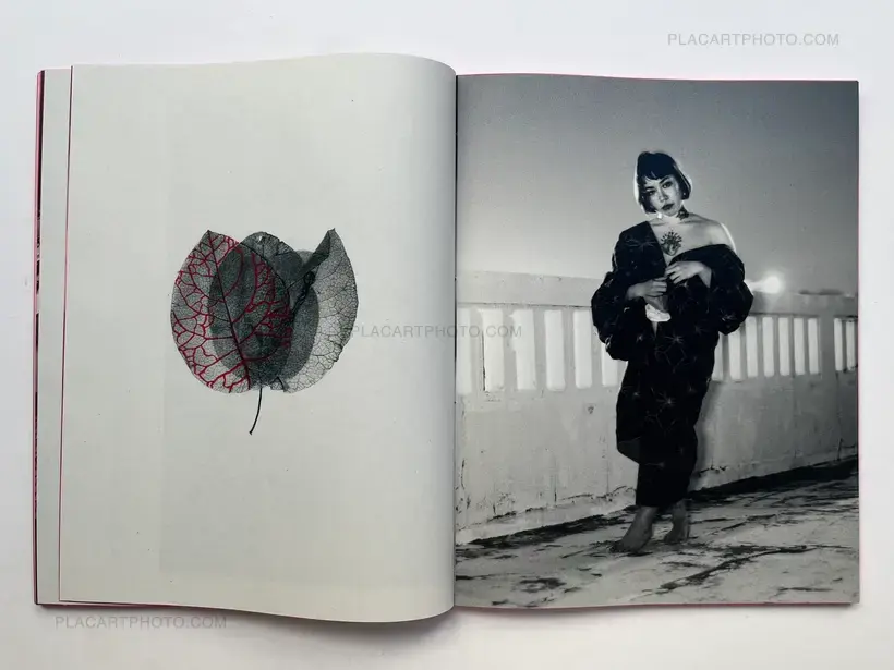 Chloé Jafé – Trilogy : Lot of 3 books (Handmade edt with prints)