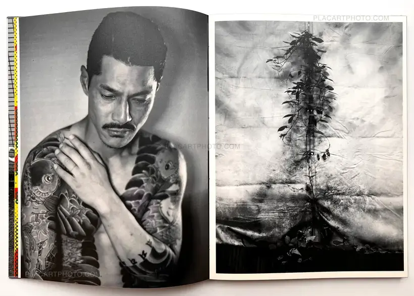 Chloé Jafé – Trilogy : Lot of 3 books (Handmade edt with prints)