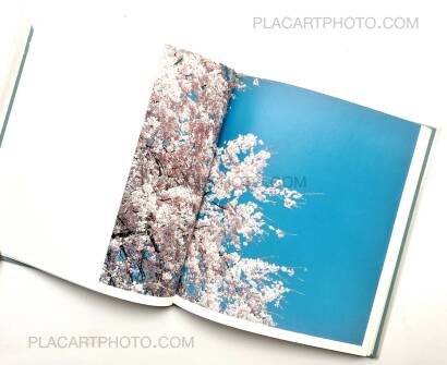 Risaku Suzuki,Hysteric Eight (Signed)