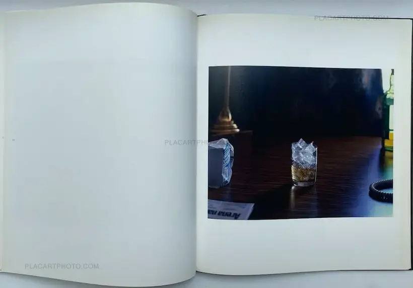 Alec Soth – NIAGARA