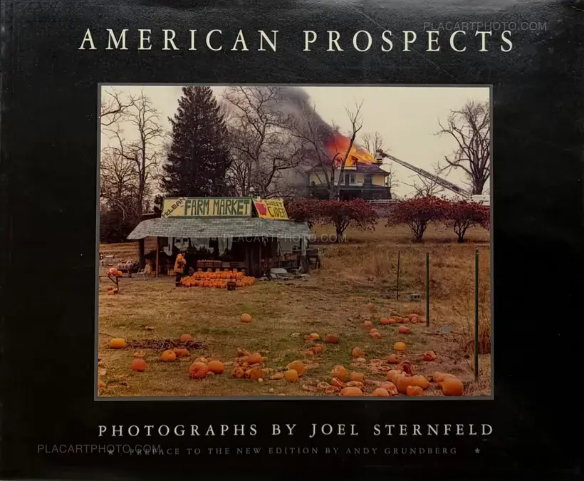 Joel Sternfeld – AMERICAN PROSPECTS