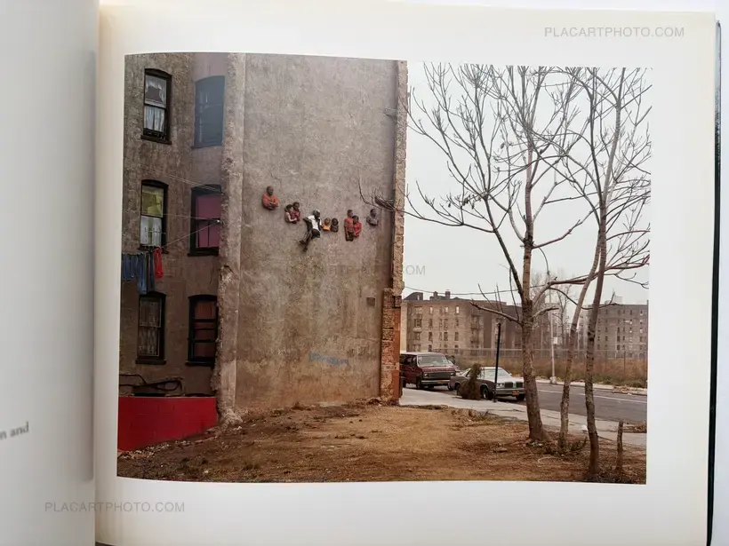 Joel Sternfeld – AMERICAN PROSPECTS