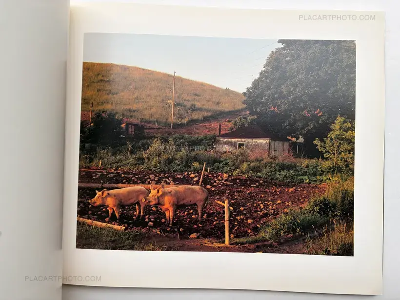 Joel Sternfeld – AMERICAN PROSPECTS