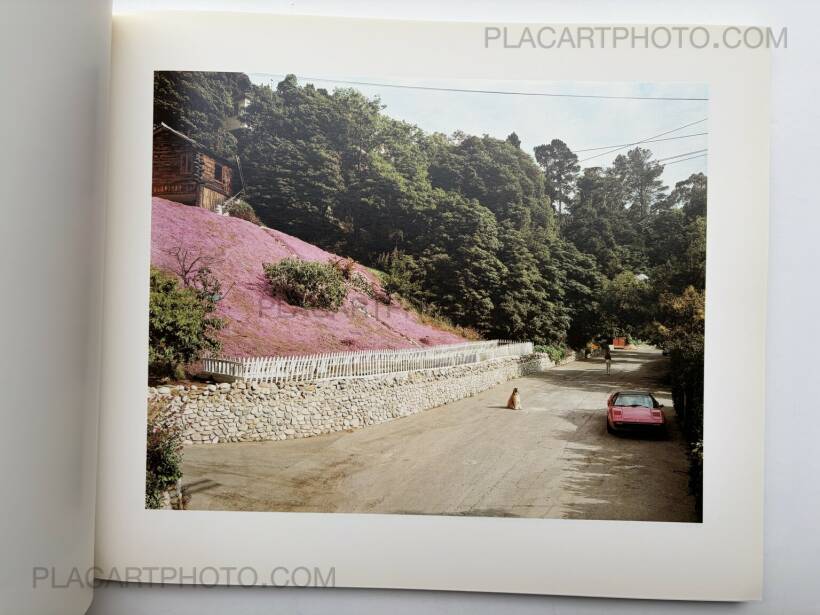 Joel Sternfeld: AMERICAN PROSPECTS, Chronicle Books, 1994