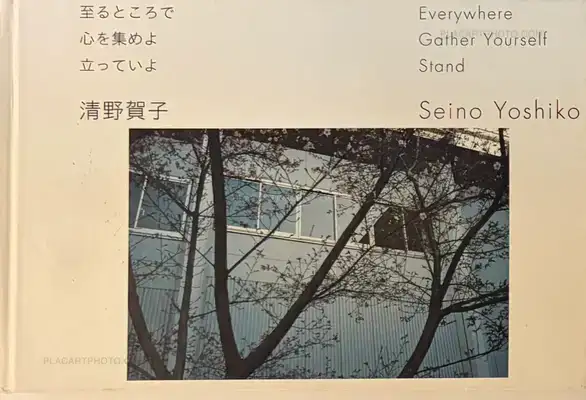 Yoshiko Seino – Everywhere Gather Yourself Stand
