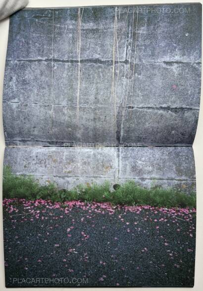 Rie Suzuki,The Universe Doesn't Know