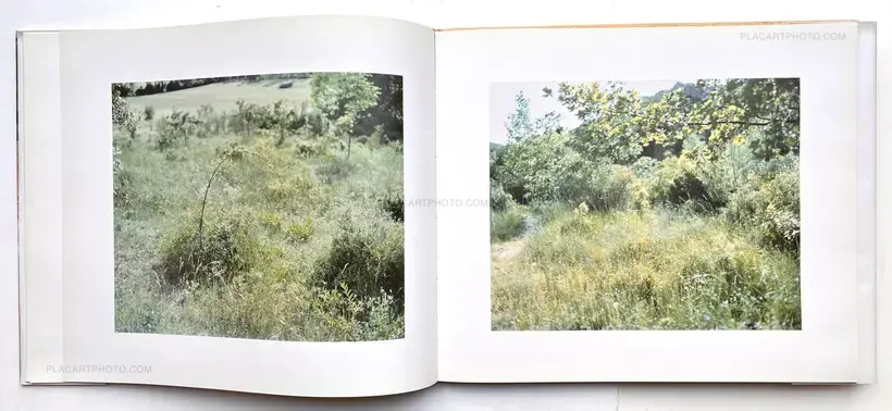 Risaku Suzuki – Mont Sainte Victoire